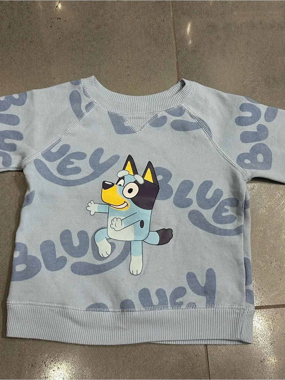 Bluey 2t Old Navy Unisex Graphic Sweatshirt & Sweatpant Set Blue